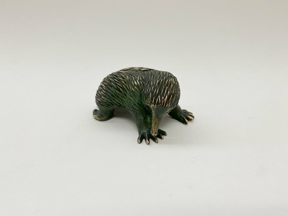 Echidna (medium)