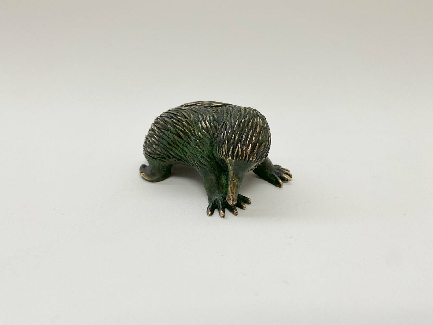 Echidna (medium)