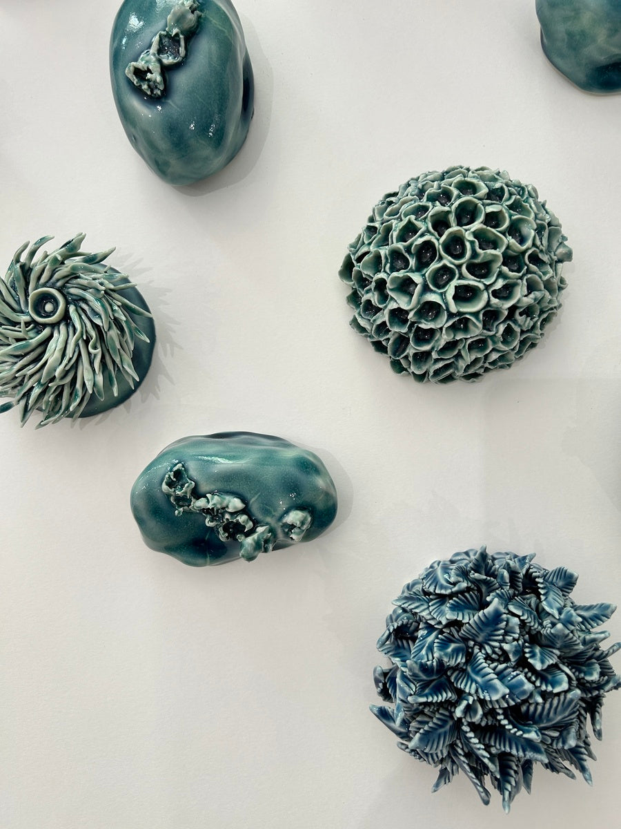 Fragments of the shore