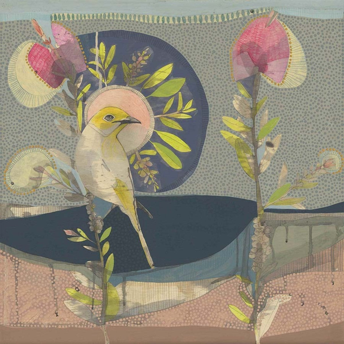 May Love Find You - White plumed honeyeater and hot pink callistemon