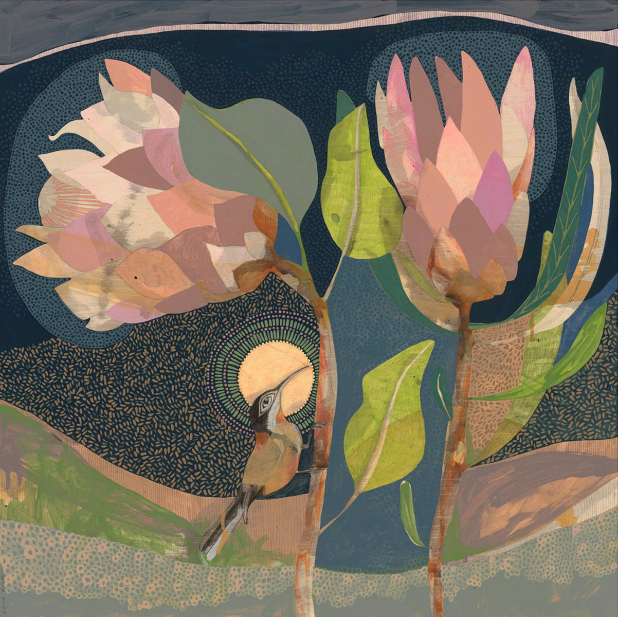 I Let Love In, Eastern Spinebill and Proteas