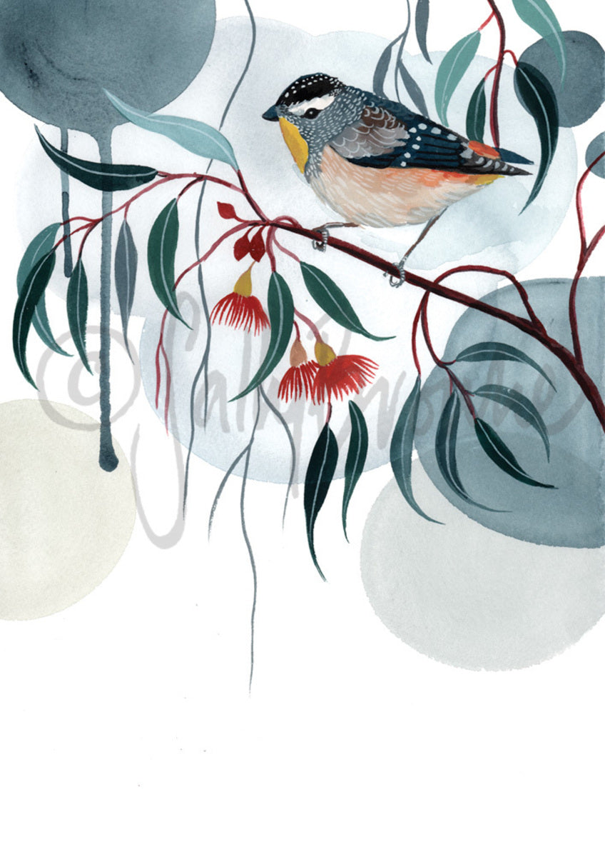 Pardalote & Gum Blossom