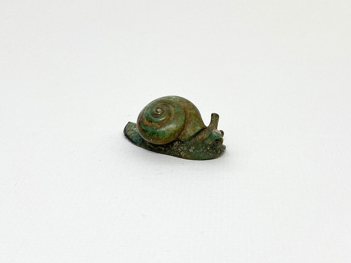 Small Spiral Snail