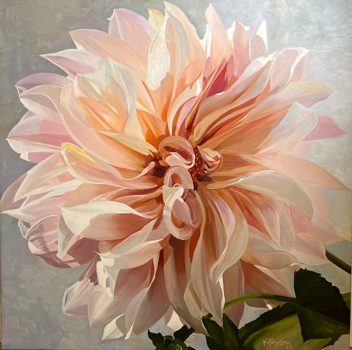 Dahlia Delight