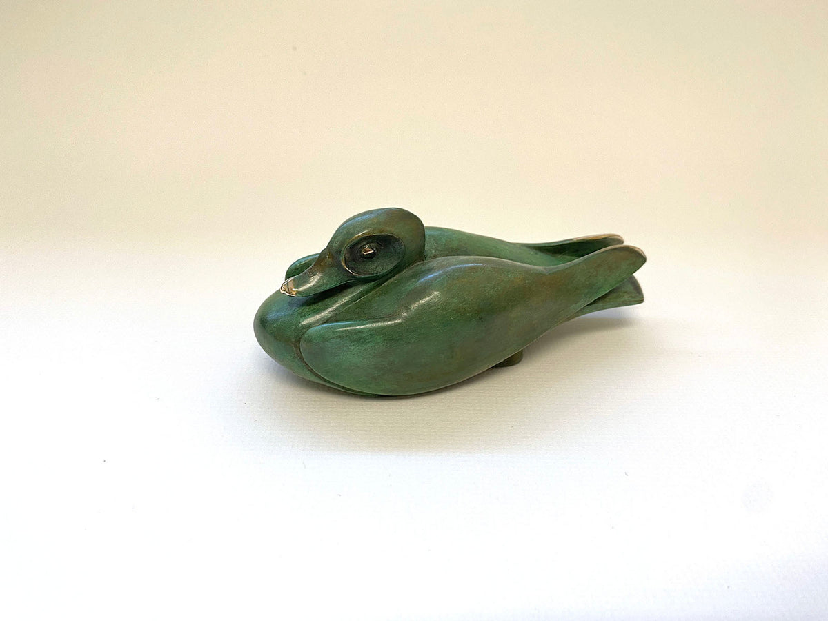 Myall Duck