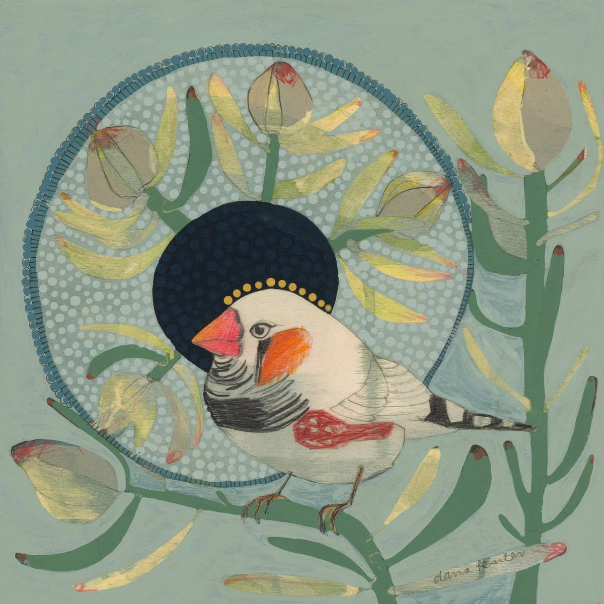 Zebra Finch and Leucadendron