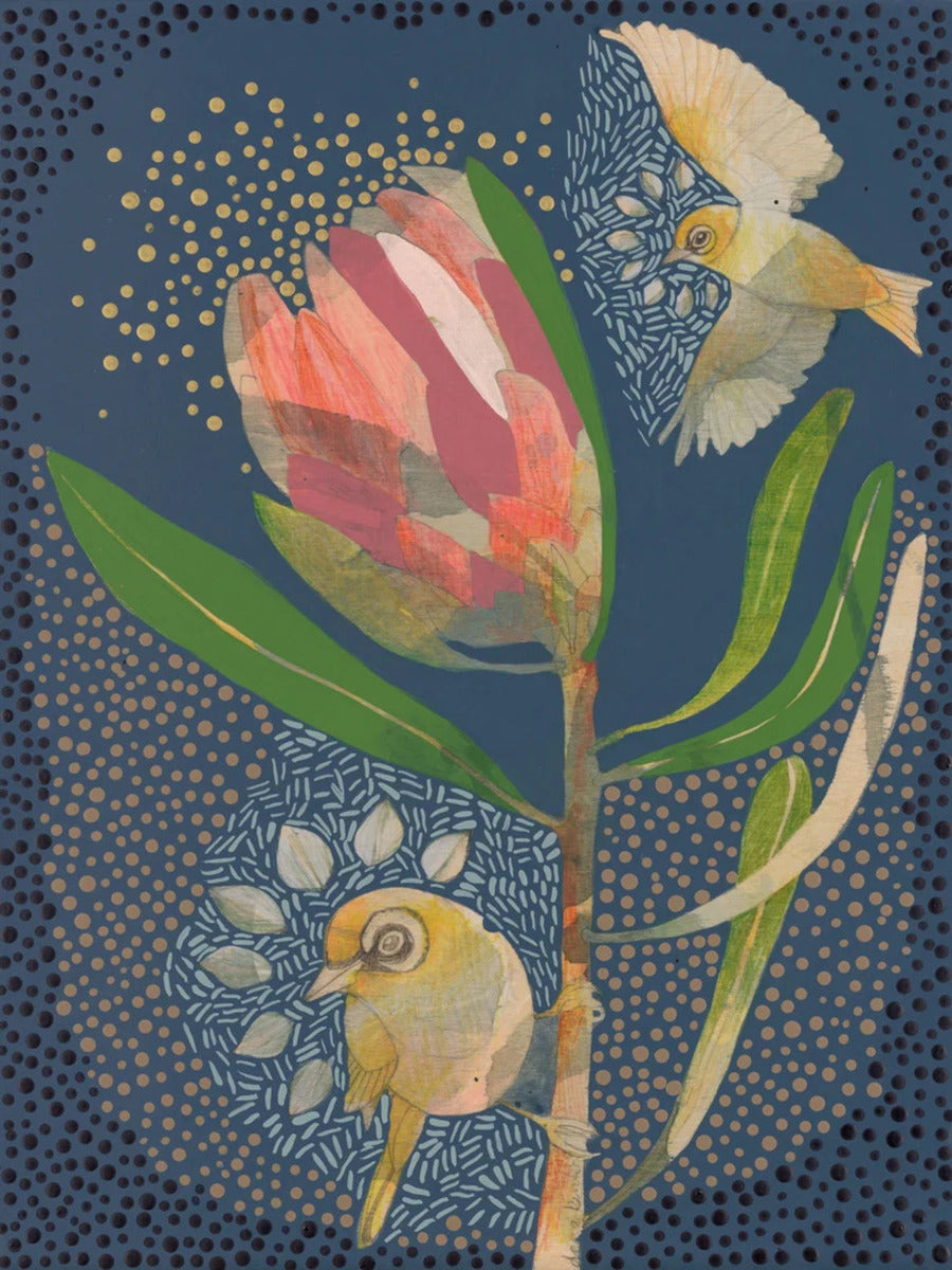 Silvereye and Pink Ice Protea