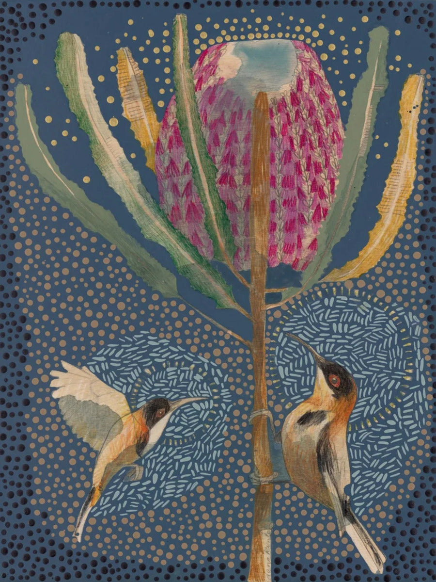 Eastern Spinebill and Banksia Menziesii