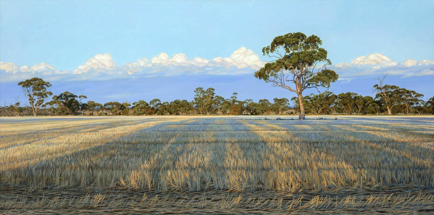 Late Light on the Stubble