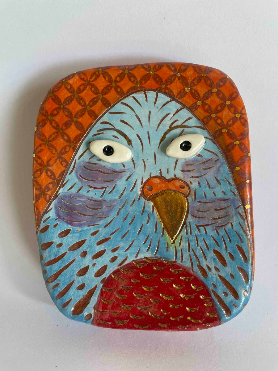 Red Bellied Blue Bird