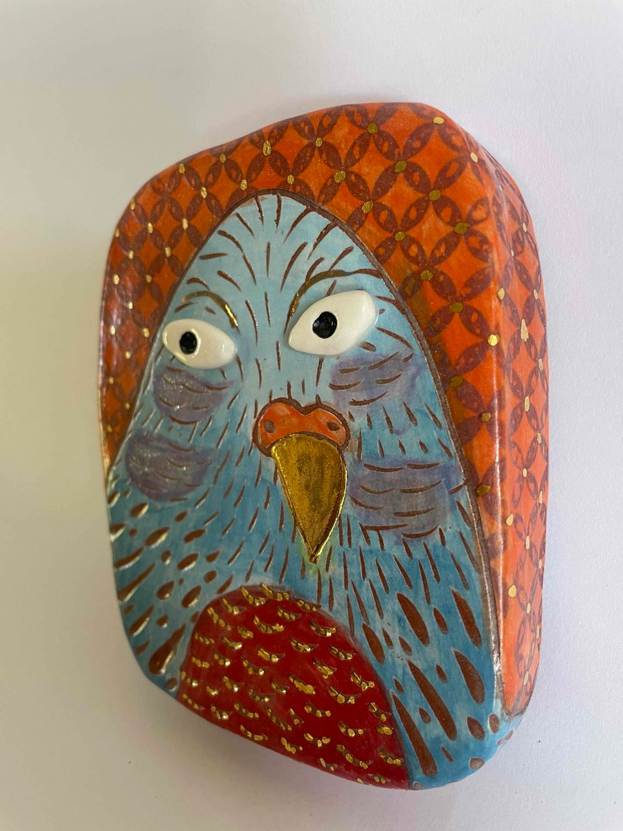 Red Bellied Blue Bird