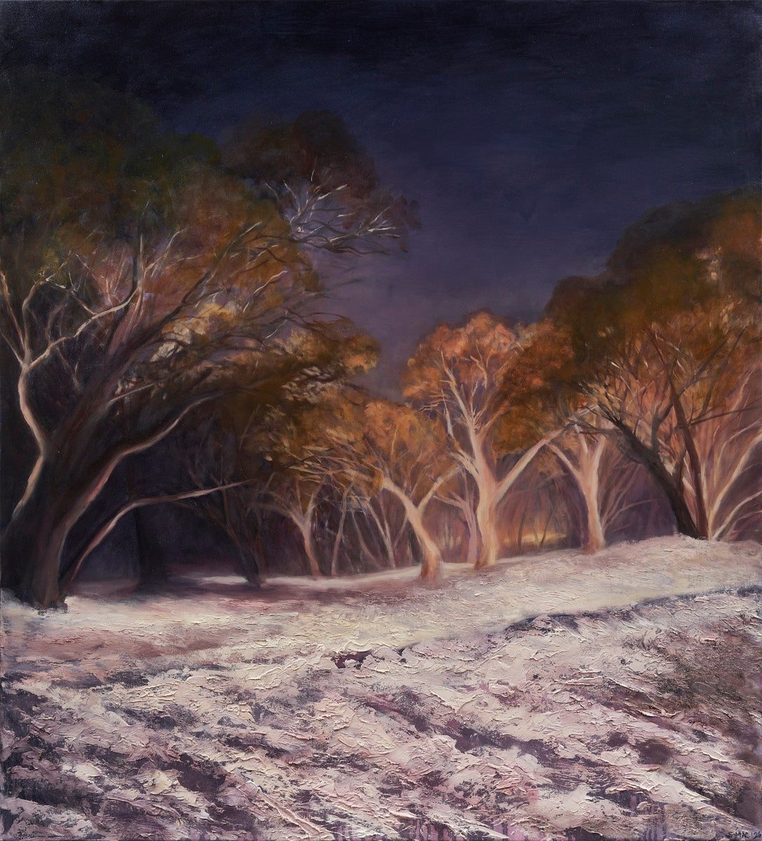 The Forest Never Sleeps II