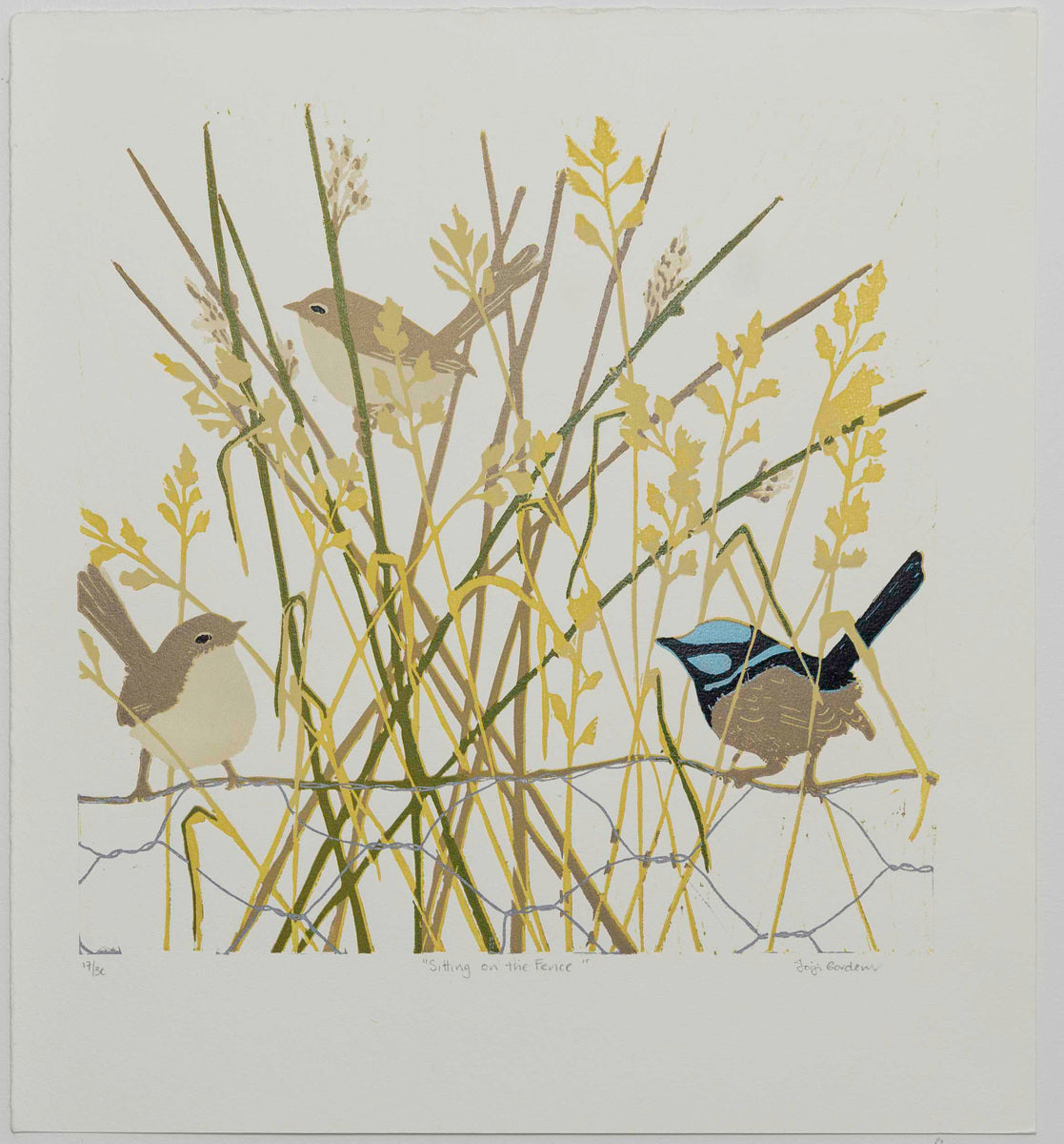 Sitting on the Fence