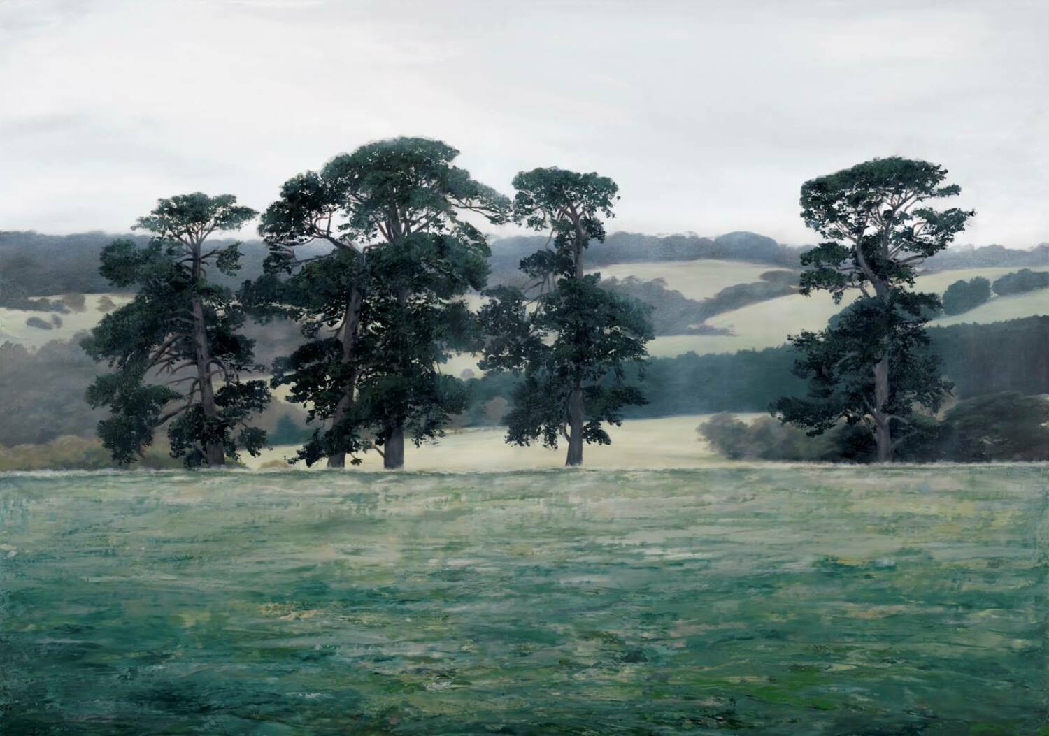 The Old Tree Line