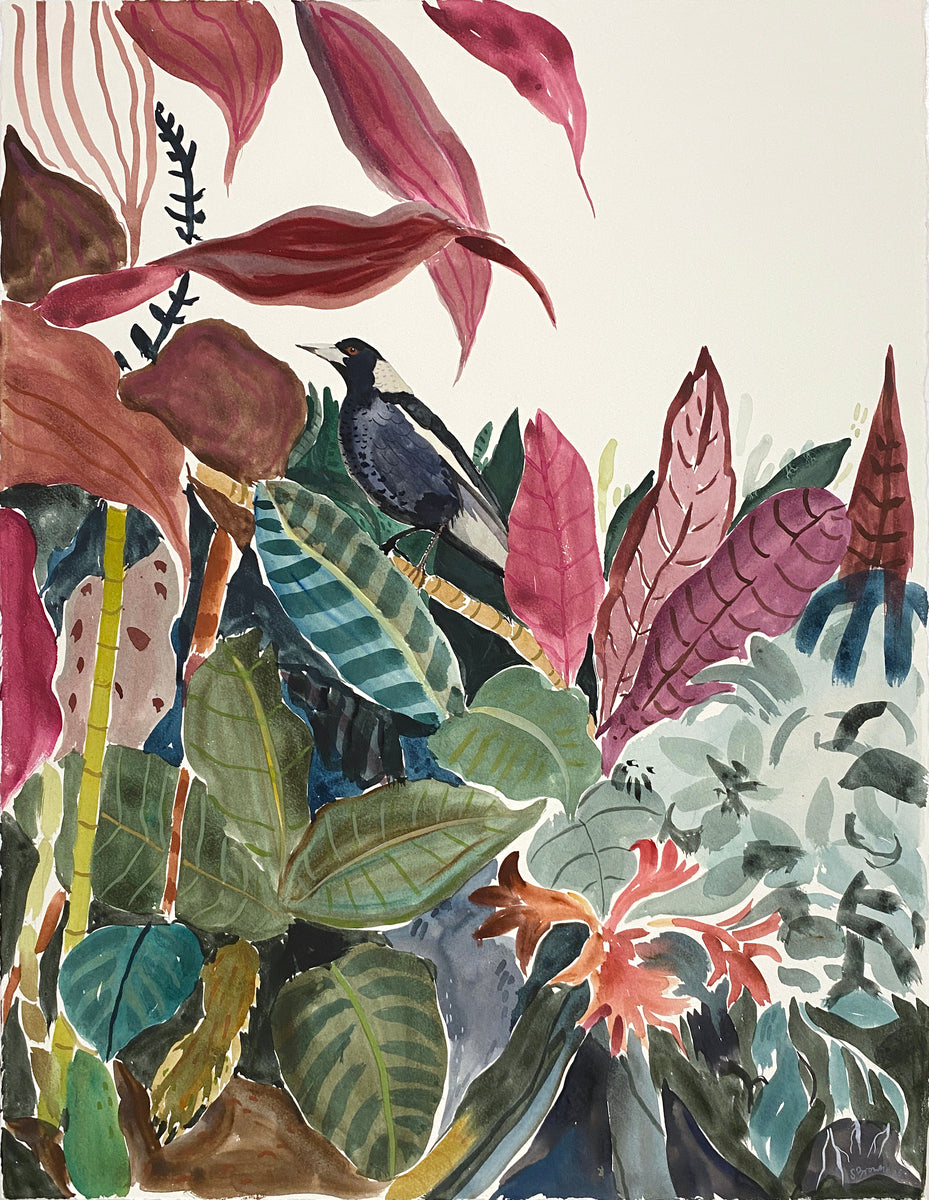 The Suburban Jungle