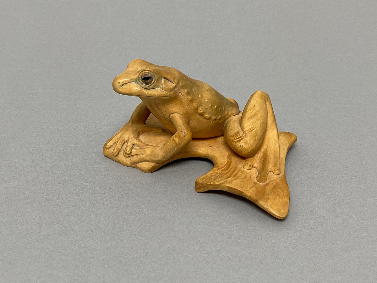 Motorbike Frog with Three Moths