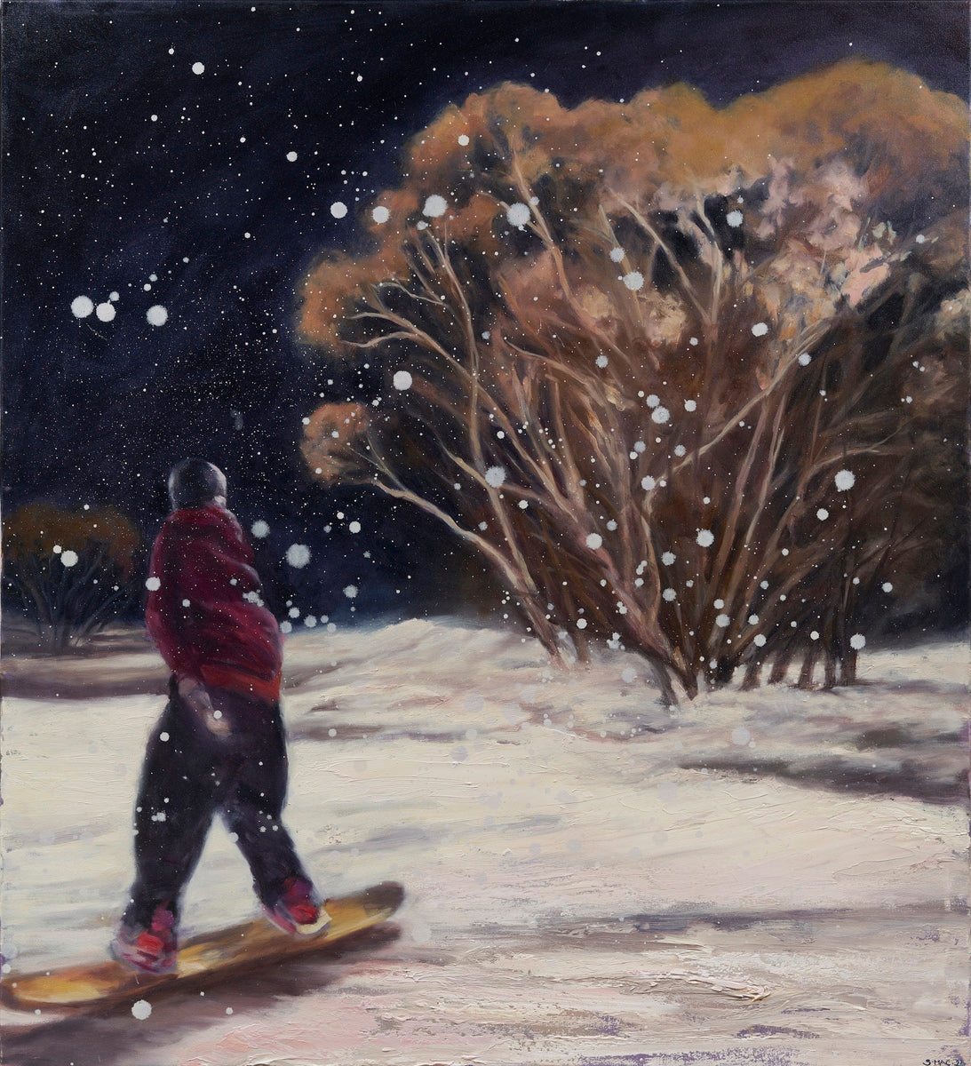 Under Winter Stars and Snow I