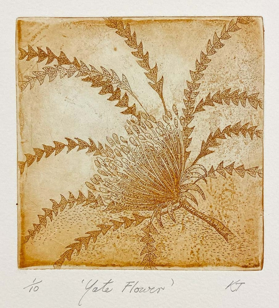 Yate Flower (unframed)