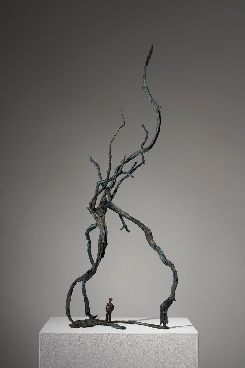 Woodland #3