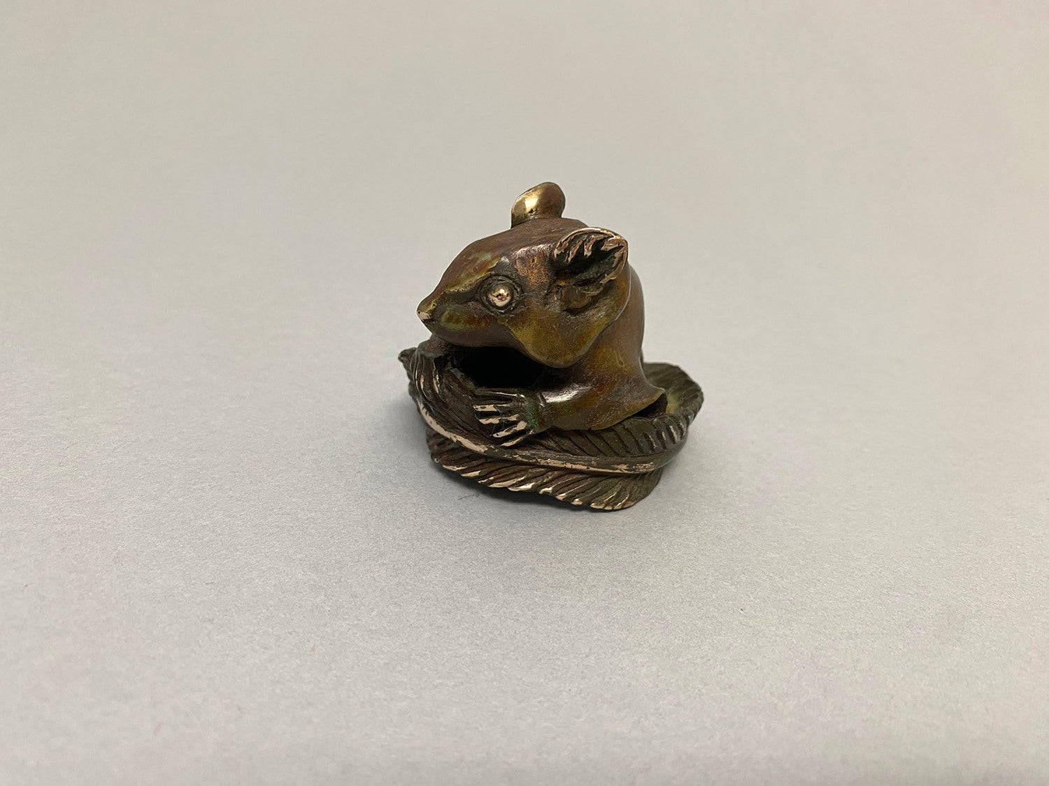 Feather-Tailed Glider