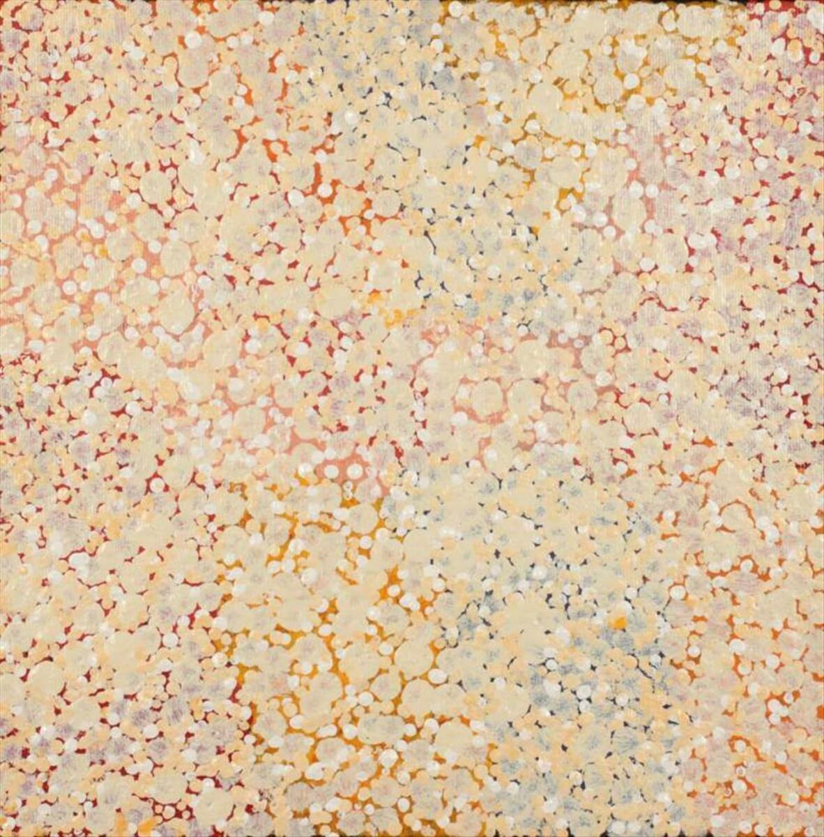 Ruth Nungarrayi Spencer - Goanna Dreaming