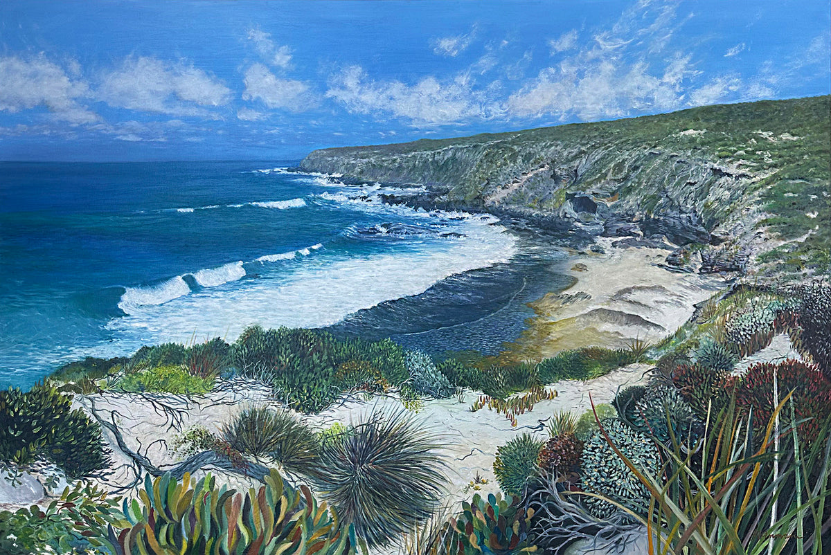 Fossil Beach, Bore Beach KI