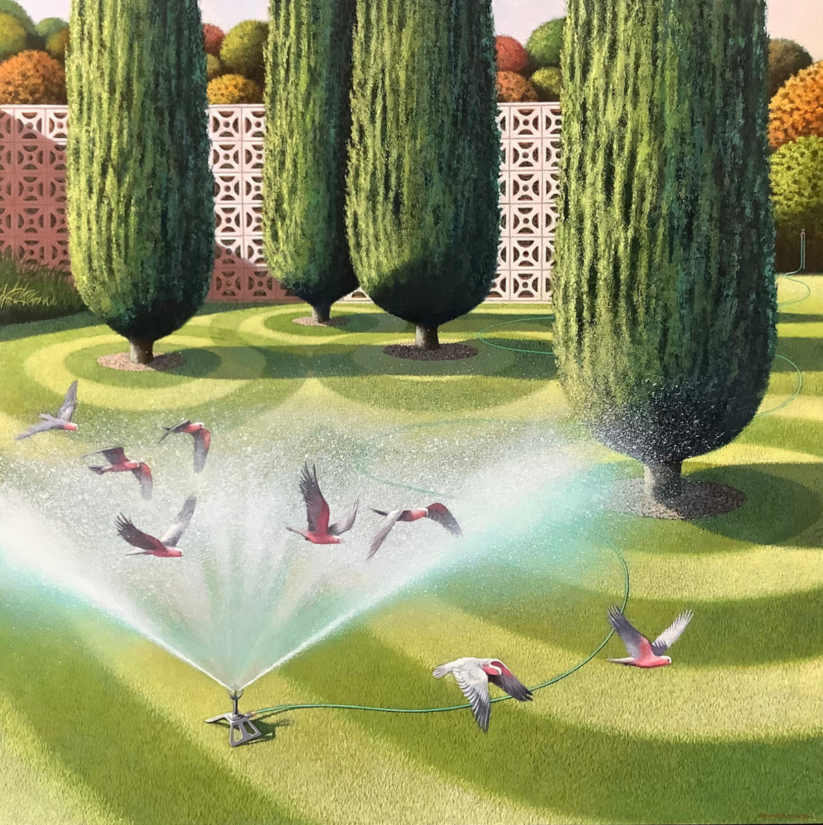 Around the Four Trees
