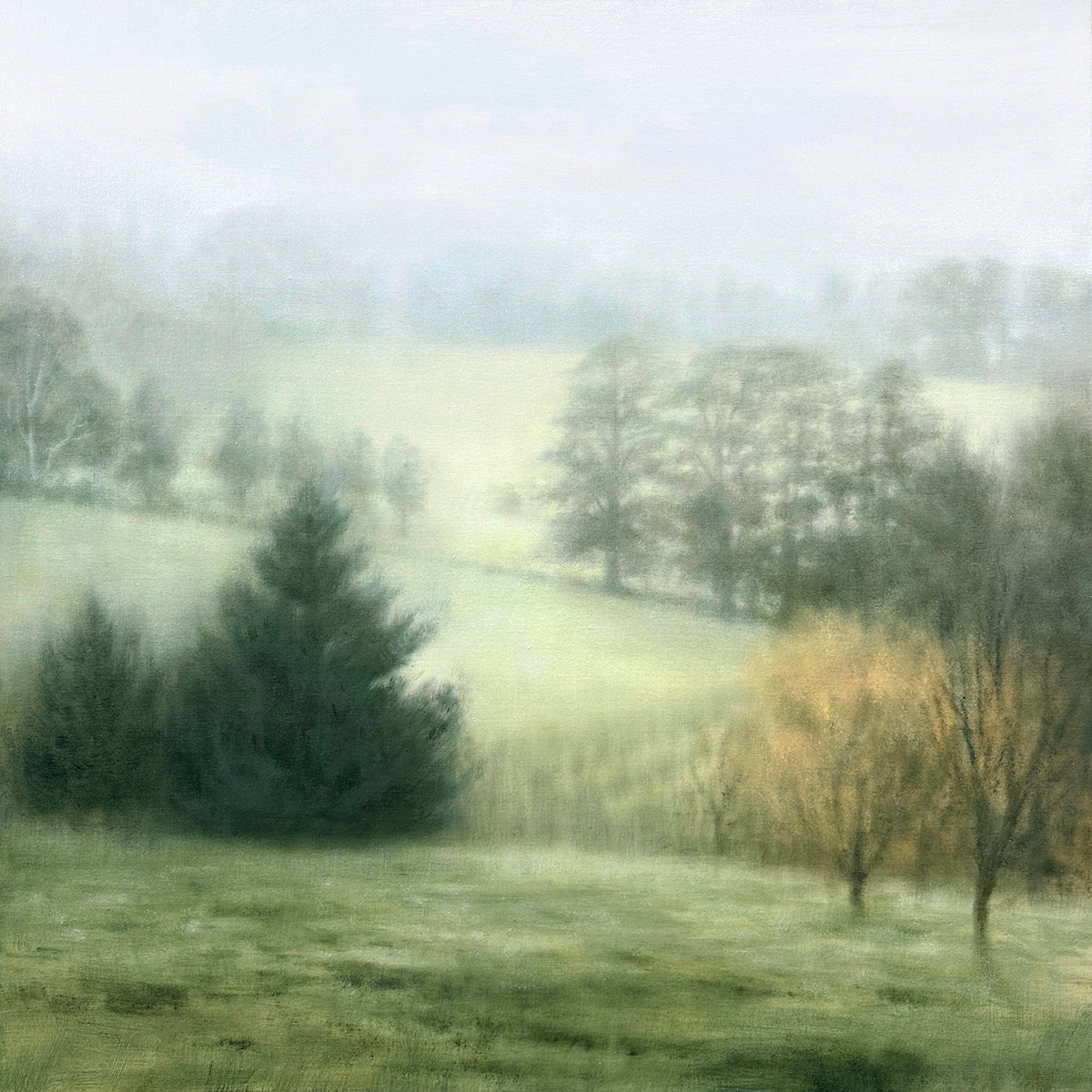 Winter Garden, View to the Paddock