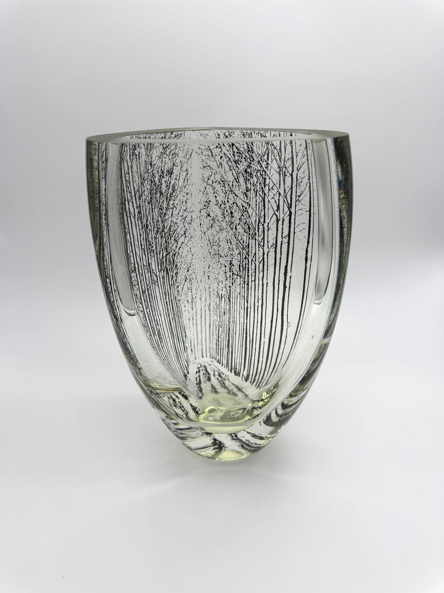 'Optical Landscape' Forest