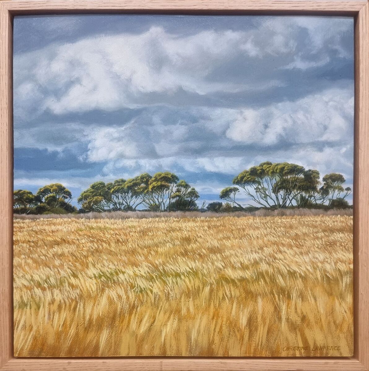 Crops and Clouds #12 Breeze in the Barley