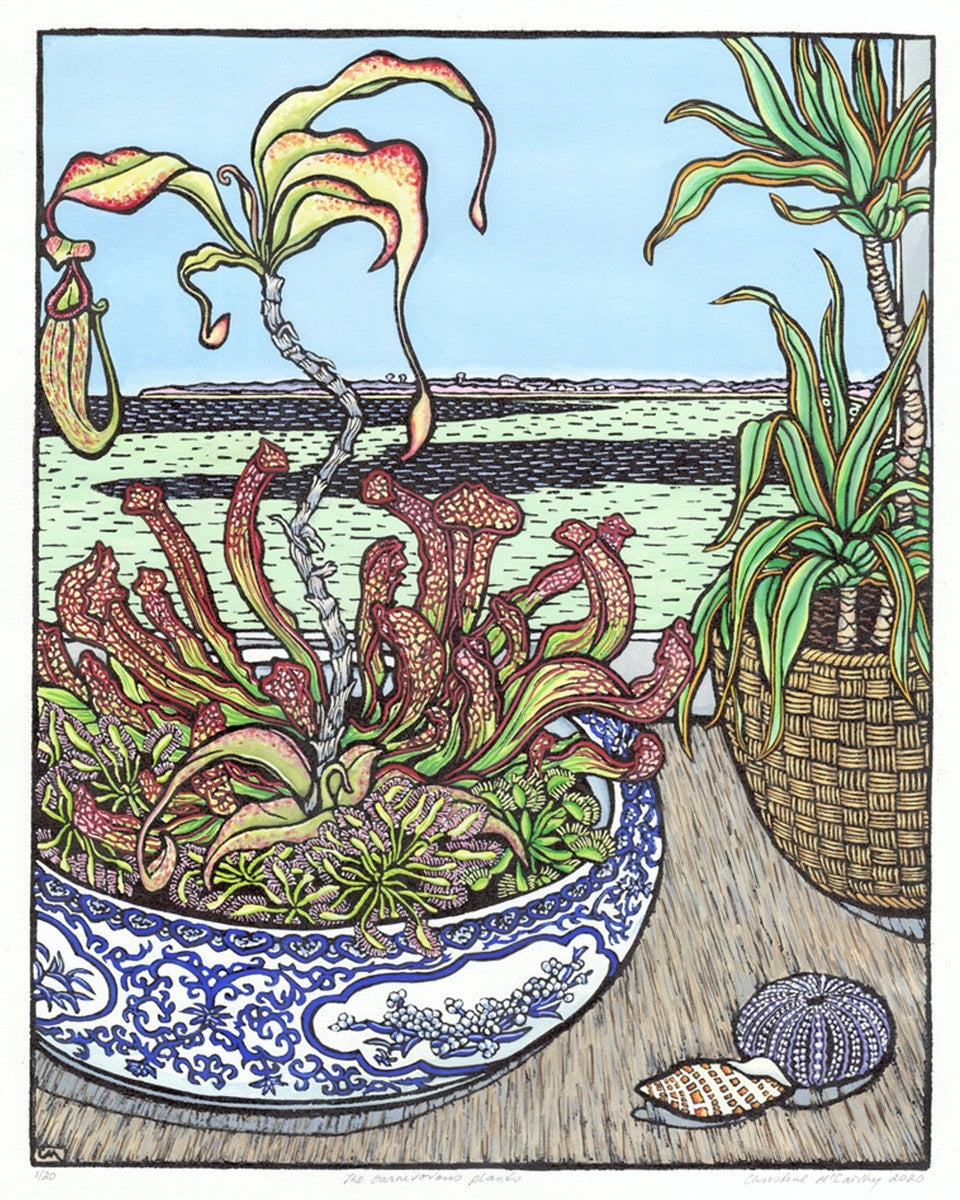 The Carnivorous Plants