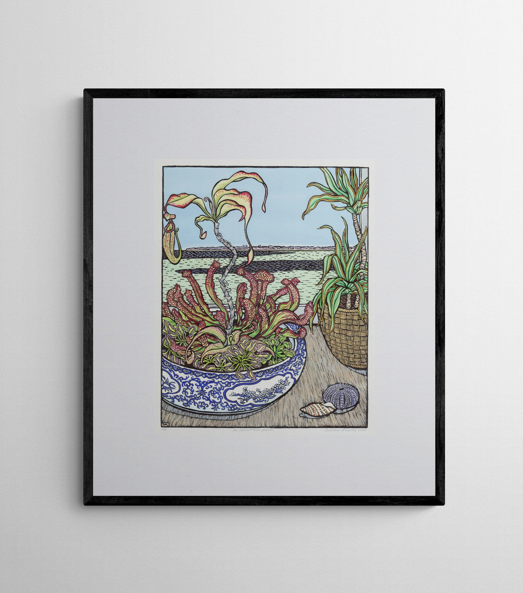 The Carnivorous Plants