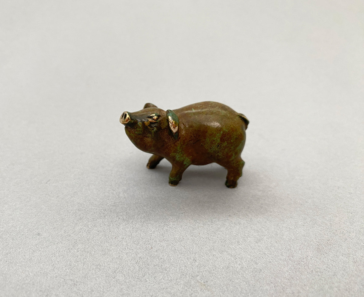 Curious Pig