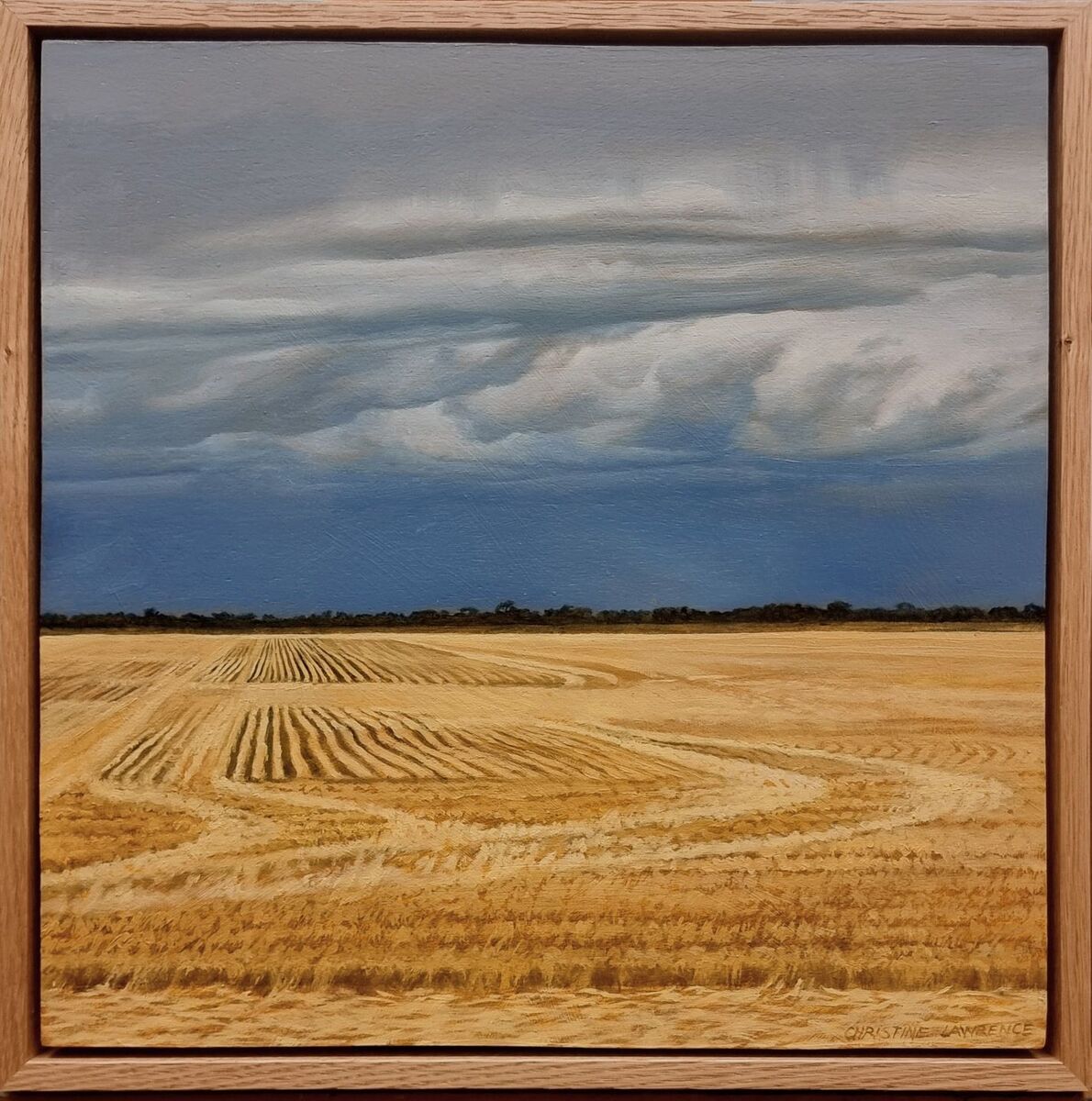 Crops and Clouds #8 Patterns in the Stubble