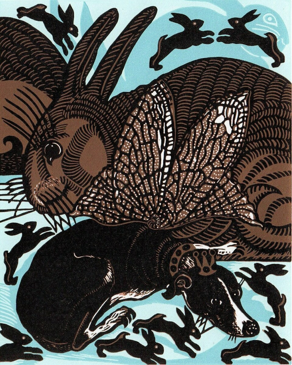 Dog Fairy in Bunnyland