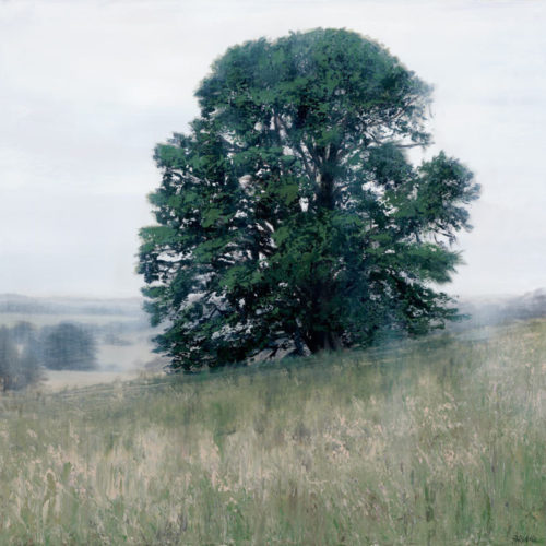 Tree on Grassy Meadow