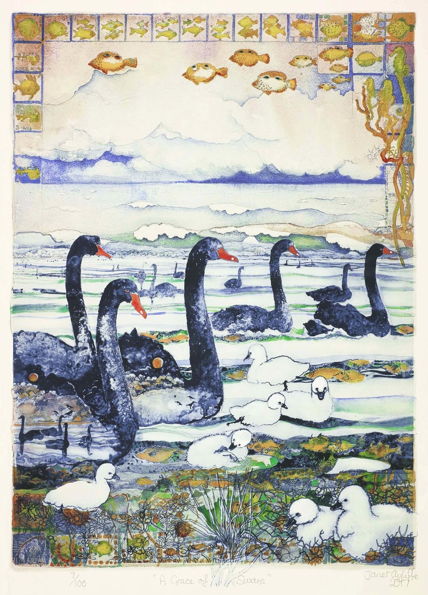A Grace of Swans