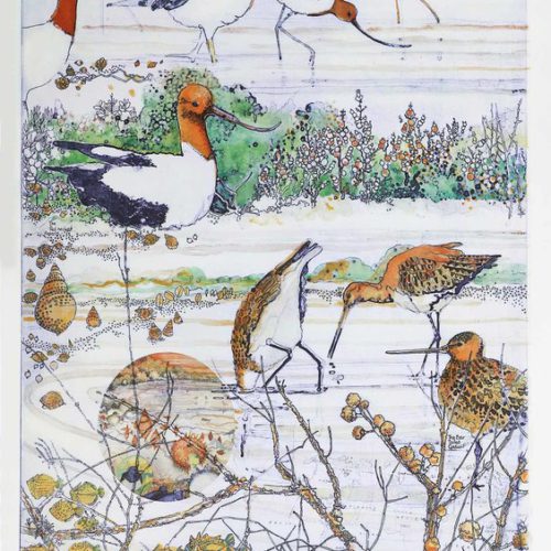 An Exaltation of Avocets and a Gathering of Godwits