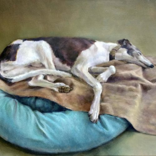 “Tash” – Rescue Greyhound