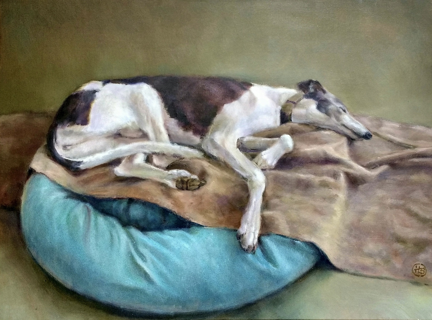 “Tash” - Rescue Greyhound