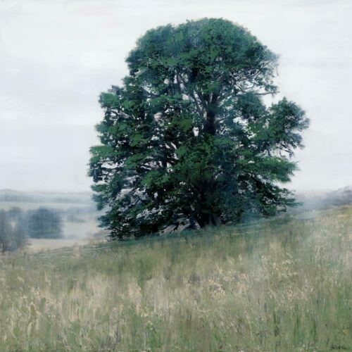 Tree on the Grassy Meadow