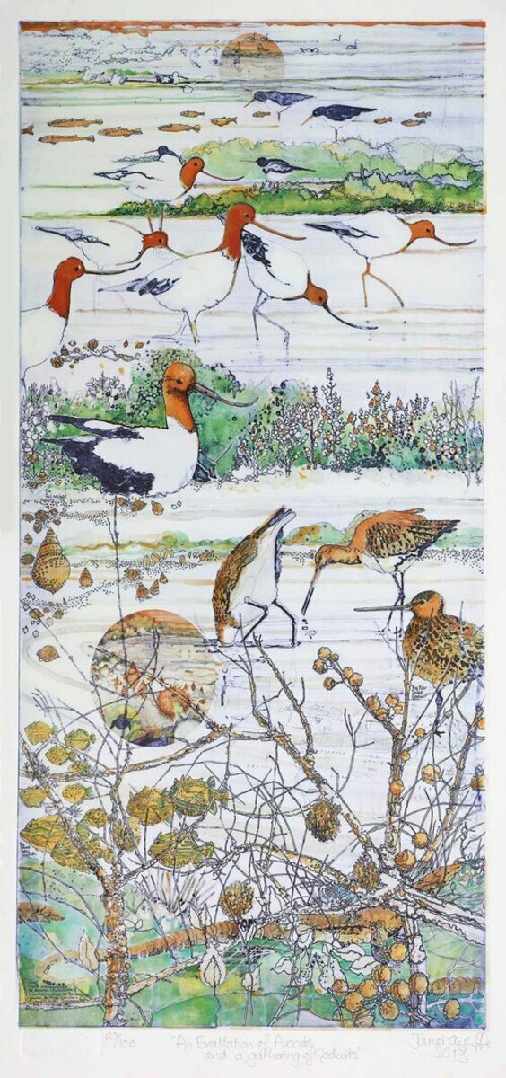 An Exaltation of Avocets and a Gathering of Godwits