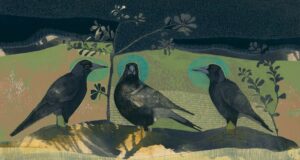 By Your Side, Magpie and Coastal Banksia