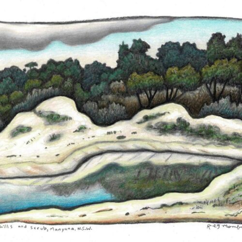 Creek, Sandhills and Scrub, Manyama