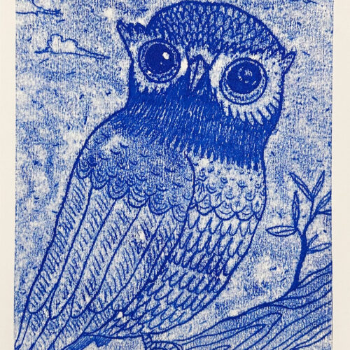 Owl