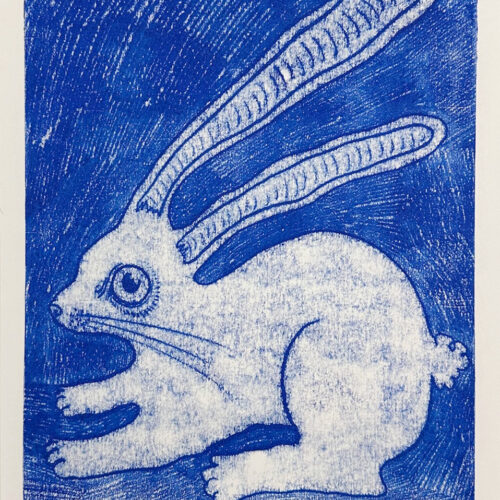 Rabbit