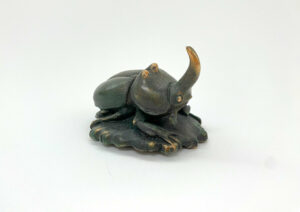 Rhino Beetle with Leaves