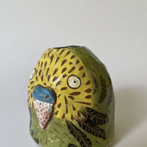 Green & yellow Budgie