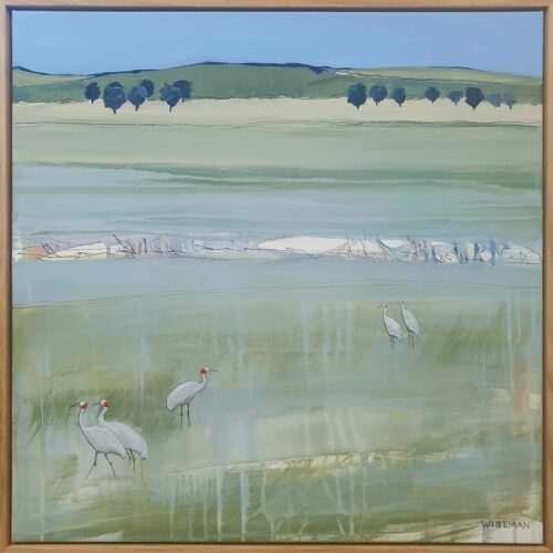 Brolga Country