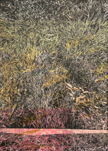 Grassland Understory Version 1